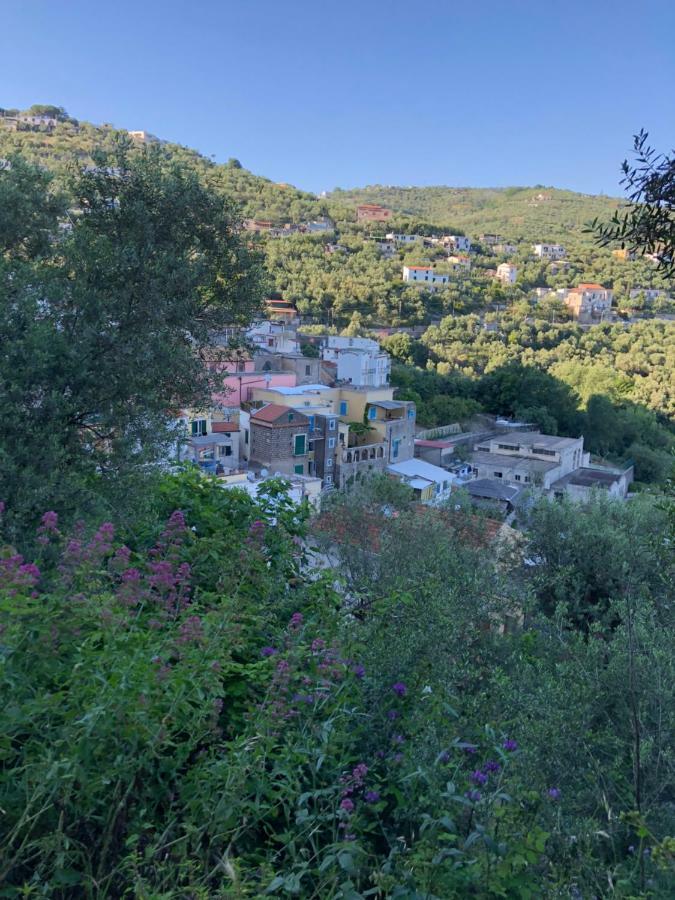 Petit Maison Jeranto Nerano Buitenkant foto